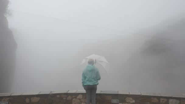 Vista posteriore della giovane turista solitaria in cappello con ombrello trasparente — Video Stock