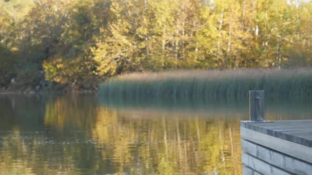 Table de plate-forme en bois vide avec la côte de lac d'automne à l'arrière-plan. — Video