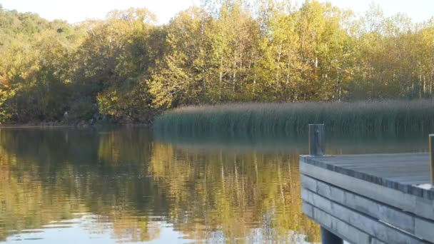 Mesa de cubierta de madera vacía con costa de lago de otoño en el fondo . — Vídeos de Stock