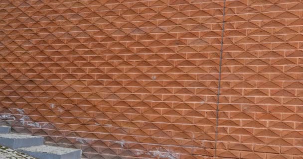 Young woman walking by red brick wall — Stockvideo