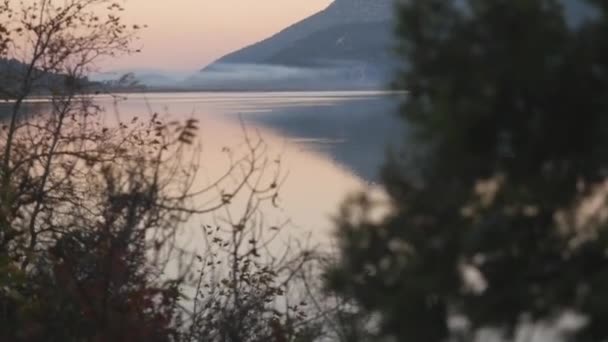 Vista de cerca del árbol y el lago tranquilo en el fondo — Vídeo de stock