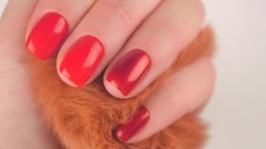 Womans hands with red manicure hold red fluffy ball