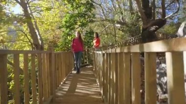 Güneşli havalarda bir autunm ormanda Boardwalk