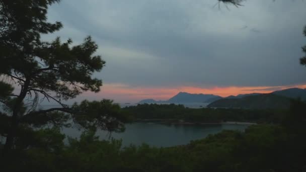 Прекрасний вид на море через гілки сосен на заході сонця — стокове відео