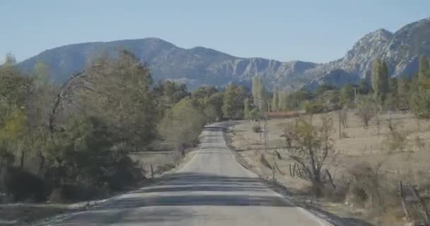 Car on road covered in autumn forest — Stock Video