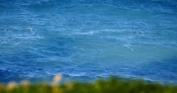 Paisaje de verano en el mar — Vídeos de Stock