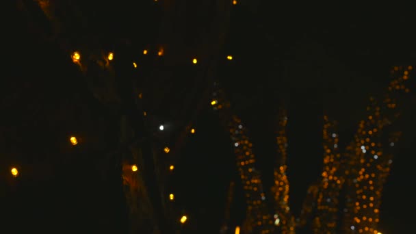 Decorazioni luminose di Natale sugli alberi di notte — Video Stock