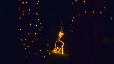 Geceleri ağaçlarda Noel ışık süslemeleri