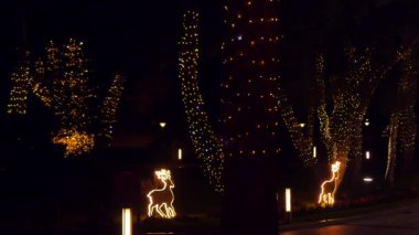 Geceleri ağaçlarda Noel ışık süslemeleri