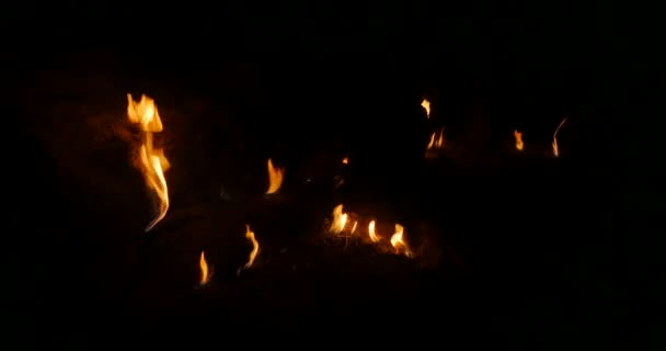 Φωτιά φλόγες στο σκοτάδι — Αρχείο Βίντεο