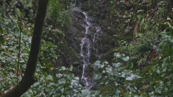 Вид на зимний водопад — стоковое видео