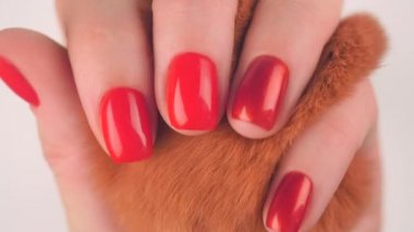Womans hands with red manicure hold red fluffy ball