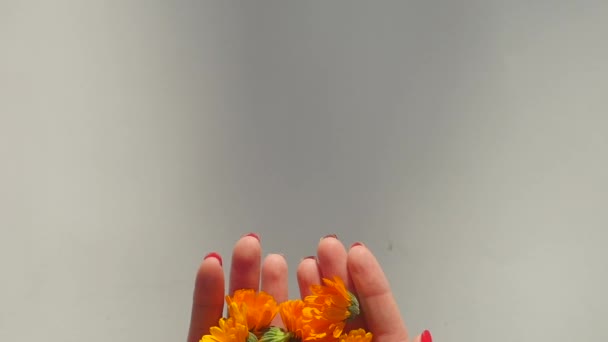 Womans hands hold and then throw calendula — 비디오