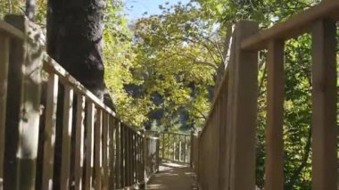 Güneşli havalarda bir autunm ormanda Boardwalk
