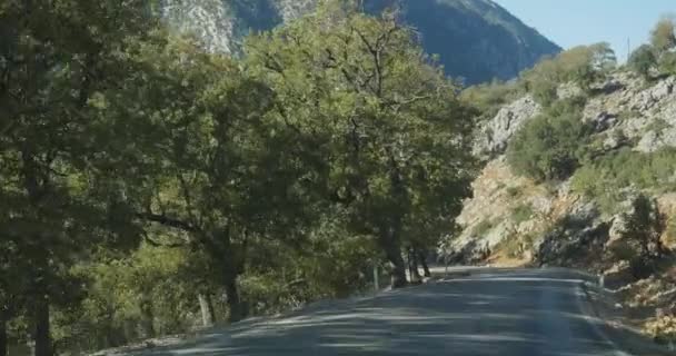 Car on road covered in autumn forest — Stock Video