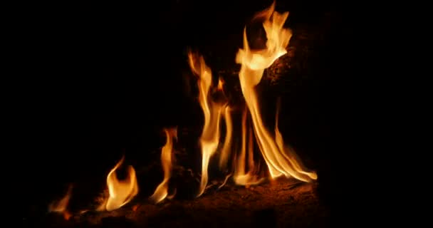 Płomienie ognia w ciemności — Wideo stockowe