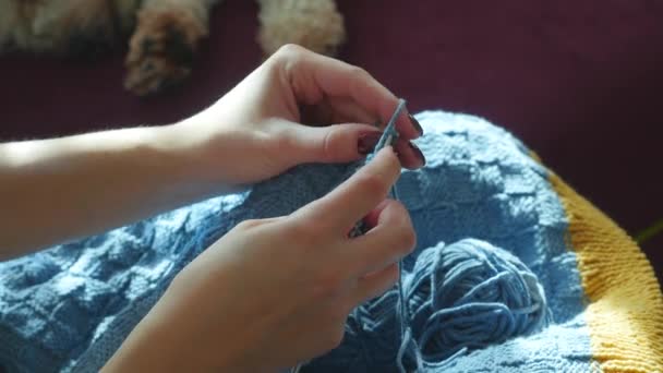 Womans hands knitting blue sweater — Stock Video