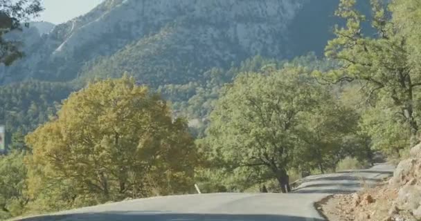 行驶在秋林路面上的汽车 — 图库视频影像