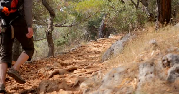 Wanderer gehen im Freien mit Wanderrucksäcken. — Stockvideo