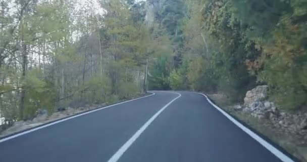 Αυτοκίνητο στο δρόμο που καλύπτεται από το φθινόπωρο δάσος — Αρχείο Βίντεο