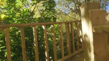 Güneşli havalarda bir autunm ormanda Boardwalk