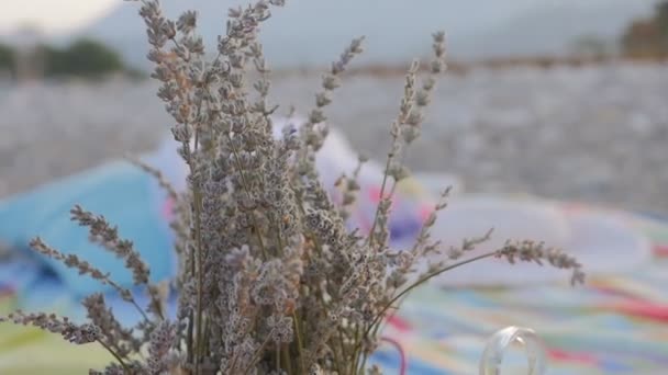 Sommarsemester koncept med lavendel, frukter och kakor på stranden — Stockvideo