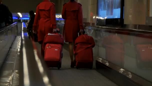 Stewardessen auf Rolltreppe mit Koffern am Flughafen. — Stockvideo