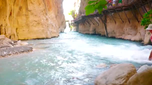 View of fast river in canyon — Stock Video