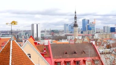 Arka planda Tallinn şehir görünümü.