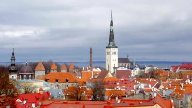Arka planda Tallinn şehir görünümü.