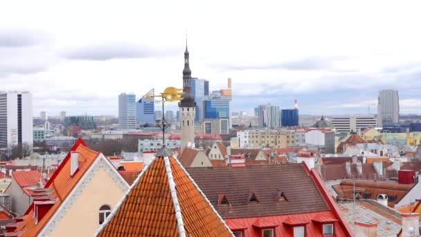 Uitzicht op de stad Tallinn op de achtergrond. — Stockvideo