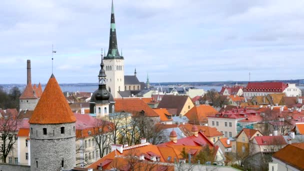 Arka planda Tallinn şehir görünümü. — Stok video