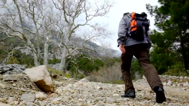 Caminantes caminando al aire libre con mochilas de excursionista . — Vídeo de stock