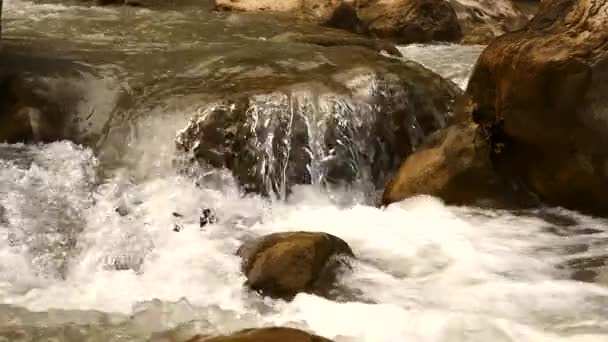 Woda spada w zwolnionym tempie — Wideo stockowe