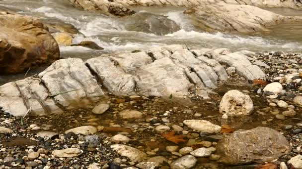 Ondulaciones de agua de una piedra — Vídeo de stock