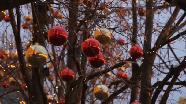 Χριστουγεννιάτικη διακόσμηση του δρόμου. Δέντρα σε γιρλάντες. — Αρχείο Βίντεο