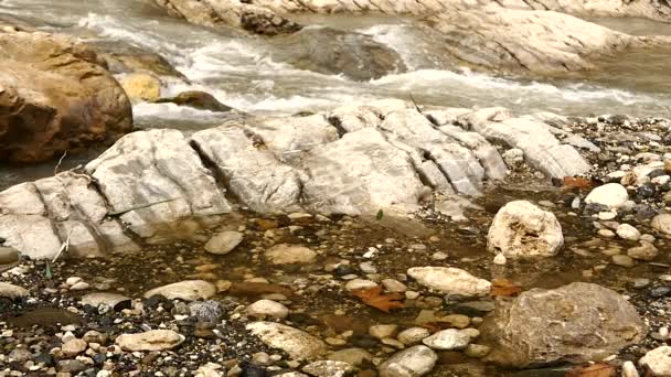 Mujer caminando cerca del río en cámara lenta — Vídeo de stock