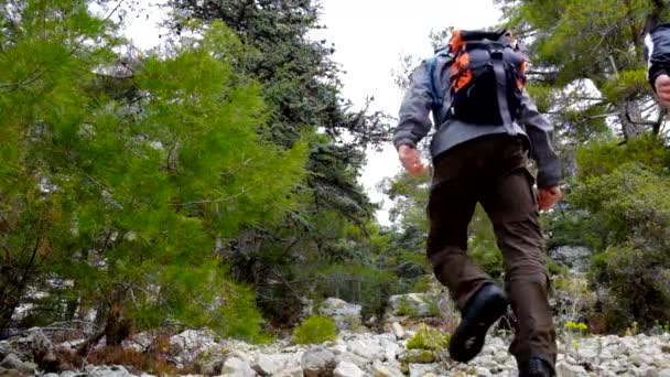 Caminantes caminando al aire libre con mochilas de excursionista . — Vídeo de stock