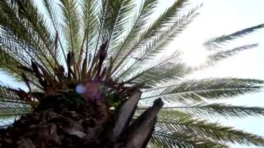 Düşük noktadan avuç içi görünümü