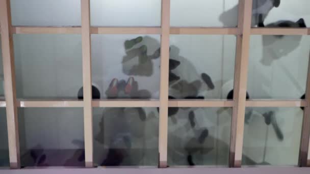 Silhouettes vues d'un plancher de verre . — Video