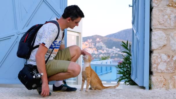 Чоловік погладжує червоного кота на вулиці — стокове відео