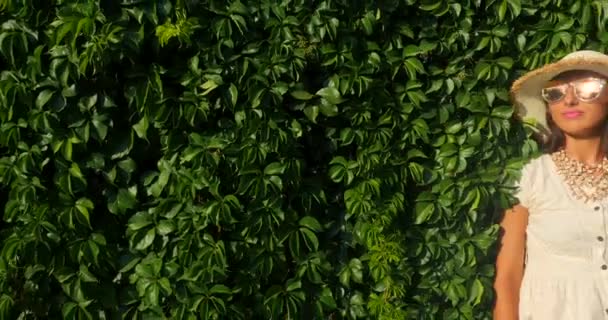 Mulher bonita em óculos de sol no fundo da parede de uva selvagem — Vídeo de Stock