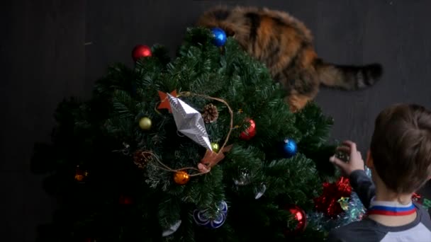 Niños decorando el árbol de Navidad — Vídeo de stock