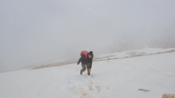 Escursionista camminando all'aperto indossando zaini escursionisti . — Video Stock