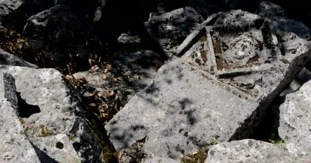 森の岩の上にカラフルなバックパックとサーモスボトル — ストック動画