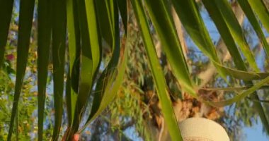 Güneş gözlüklü güzel kadın.