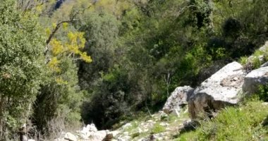 Türkiye'de Antalya yakınlarındaki Antik kenti Thermessos