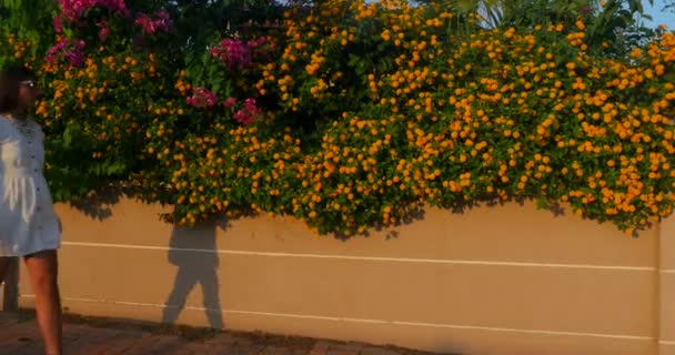 Krásná žena na zeď květiny na pozadí — Stock video