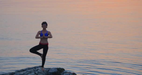 Vrikshasana tree pose — Stockvideo