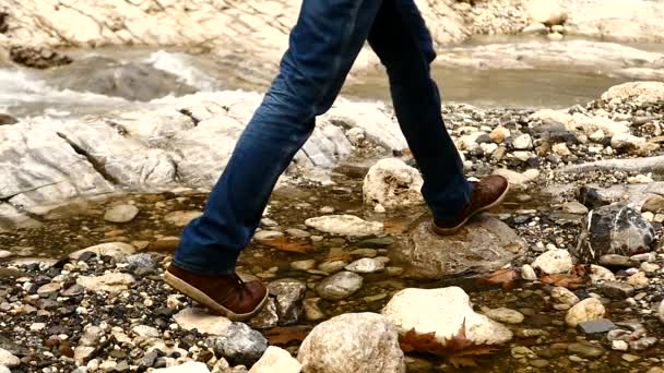 Family hiking near the river in slow motion — Stock Video